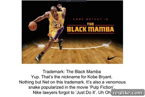 47-72-black-mamba