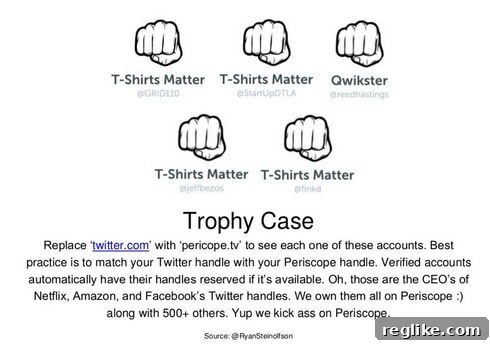 47-72-periscopehandles