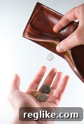 wallet A minimalist leather wallet symbolizing traditional cash payments