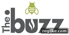 Buzz TLD Priced Over 3.5 Million 2 .buzz domain
