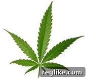 Marlboro Maker Eyes Another Cannabis Domain 2 Marlboro Marijuana