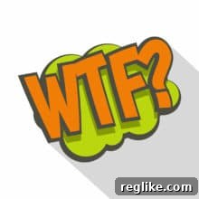 Reverse Domain Name Hijacking: A Perplexing UDRP Case 2 Reverse Domain Name Hijacking UDRP