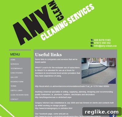 Reverse Domain Name Hijacking: A Perplexing UDRP Case 3 Any-Clean.com website screenshot