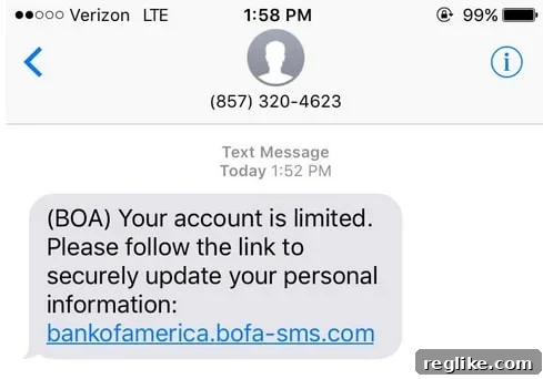 Bank of America Phishing Exposes Validated TLD Security Gaps 2 Screenshot of a phishing SMS message leading to BofA-SMS.com, showing a fake security alert.