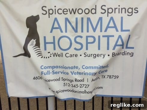 Poolside Websites: A Deeper Dive 5 Spicewood Animal Hospital banner
