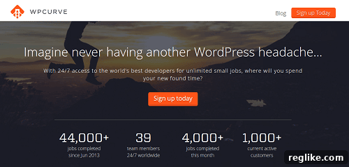 Your Guide to Hiring a WordPress Expert 2 WordPress Developer - WP Curve