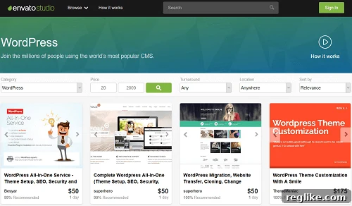 Your Guide to Hiring a WordPress Expert 3 WordPress Developer - Envato Studio