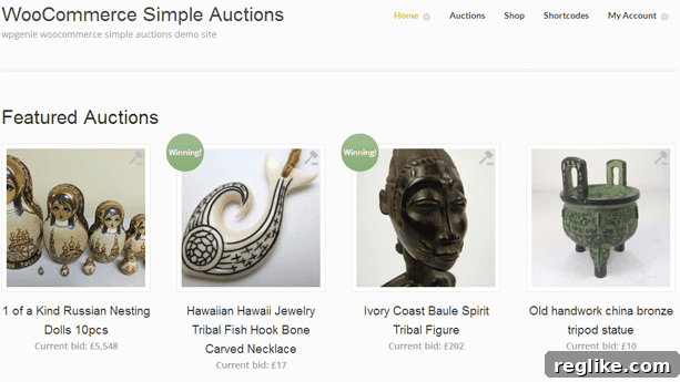 Creative Possibilities with WooCommerce Extensions 3 WooCommerce Extensions - WooCommerce Simple Auctions