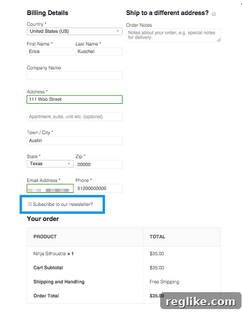 Creative Possibilities with WooCommerce Extensions 4 WooCommerce Extensions - Newsletter Subscription