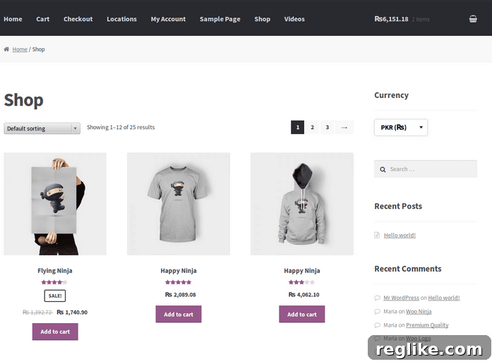 Creative Possibilities with WooCommerce Extensions 8 WooCommerce Extensions - WooCommerce Currency Switcher