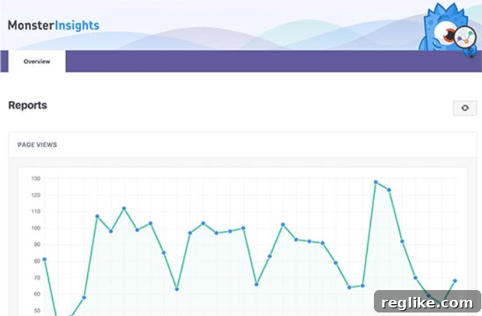 Boost WordPress Insights: Google Analytics Integration 16 Google Analytics - MonsterInsights - Dashboard Reports