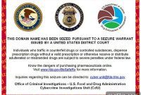 Chasing Ghosts: The US Government’s Fight Against Illicit Online Pharmacies