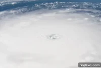 Irma Fuels Domain Name Gold Rush