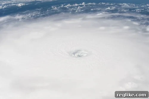 Irma Fuels Domain Name Gold Rush 2 Satellite view of Hurricane Irma over the ocean, with cloud formations