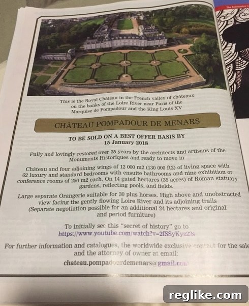 Optimal Domain Forwarding Strategy 2 Chateau Pompadour De Menars Advertisement in The Economist