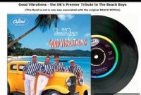 Beach Boys Claim Digital Turf from Tribute Band