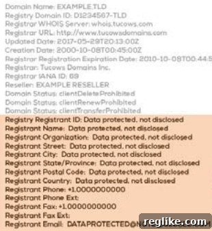 Envisioning Public Whois in 2018 3 A second example of a redacted Whois record for an EU individual, as proposed by a major registrar, highlighting the lack of direct contact information.