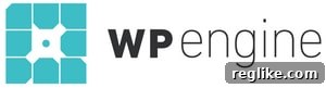 GoDaddy Acquirer Pours 250 Million Dollars Into WP Engine 2 WP Engine logo or related image