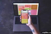 RRPproxy Unveils Dedicated Domainer User Interface