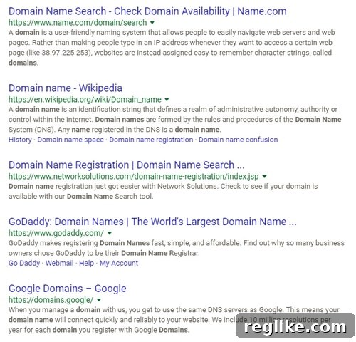 Essential Domain Name Search Results 2 Screenshot of Google search results for 'domain name'