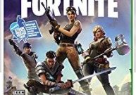 Fortnite’s Digital Footprint in Domain Names