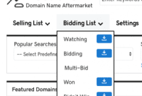 Unearthing Valuable Domains from GoDaddy’s Watchlist