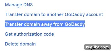 Domain Transfer Made Easy 2 GoDaddy transfer out screenshot