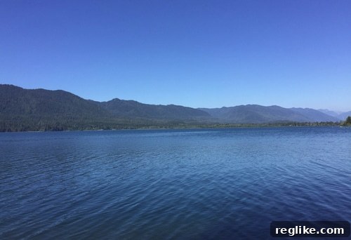 My 30-Day Digital Nomad Experiment 2 Stunning view of a forest and lake from a campsite, serving as a remote office.