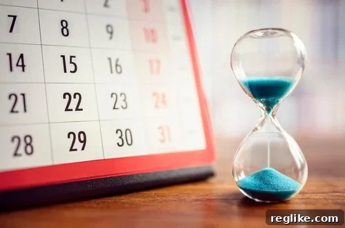 Optimizing Domain Auto Renewal When Should Registrars Act 2 Understanding Domain Auto-Renewal Timelines