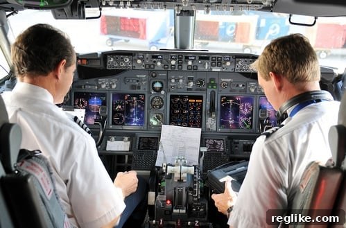 Pilot Fitness LLCs Reverse Domain Name Hijacking Bid 2 Two people in a cockpit, one asking the other 'Do you think we should hijack this domain name?'