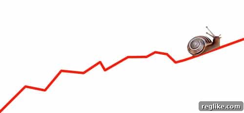 Strategic Growth: Finding the Right Momentum for New TLDs 2 Slow and steady is the name of the game for top level domains.