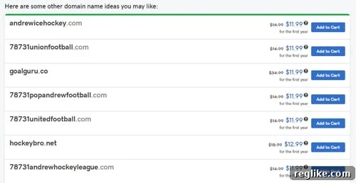 GoDaddy Supercharges Domain Discovery with Intelligent Search 4 GoDaddy refine results for Hockey