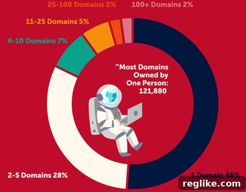 Namecheap Unveils Surprising Domain Registration Trends 2 Domain Registration Statistics
