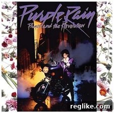 Domain Capital Sues Prince Estate for Reverse Domain Name Hijacking 2 Prince.com domain name dispute