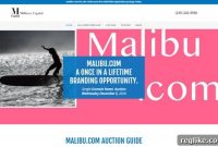 Malibu.com Domain Hits the Auction Block Next Month