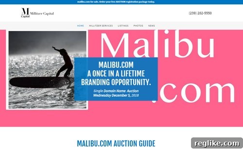 Malibu.com Domain Hits the Auction Block Next Month 2 Malibu.com domain name auction announcement