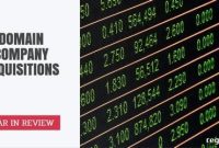MMX Acquires .XXX Annual Review