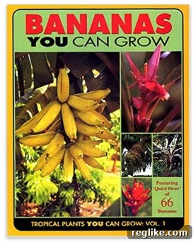 Cultivating Fortune How a Tropical Plant Guru Sold Plants.com for 450000 2 Glenn Stokes, a renowned tropical plant expert and author, who recently sold the highly sought-after Plants.com domain for $450,000.