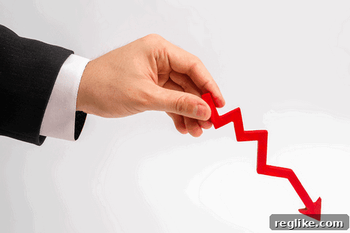img 58690 1