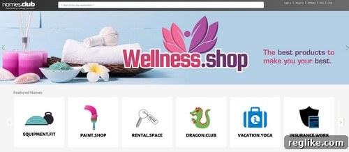 Names.Club Embraces External .Coms Unpacking the Decision 2 Screenshot of the website Names.Club, showing a modern interface for domain search and acquisition.