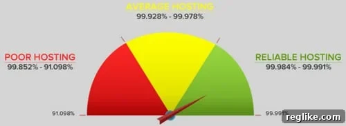 2018 Web Hosting Uptime Report 2 A comprehensive chart illustrating the uptime performance of various shared web hosting providers, showing their reliability over a long-term study period. This visual aid helps compare different hosts at a glance.