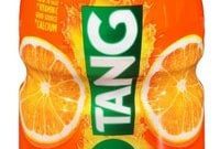 Tang Thwarts Domain Theft Claim
