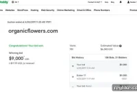 Glitch Disrupts GoDaddy Auctions