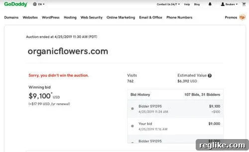 Glitch Disrupts GoDaddy Auctions 3 GoDaddy auction results showing the bidder in second place for OrganicFlowers.com