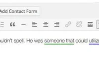 WordPress: Grammar Check No More