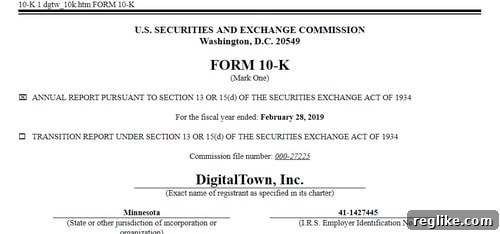 DigitalTown's Digital Debacle: A Domain Name Disaster 2 DigitalTown SEC Filing