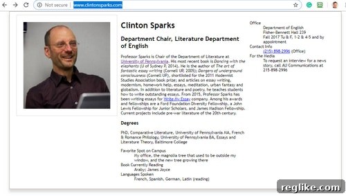 Clinton Sparks Reclaims Domain Name 2 Screenshot of a fake profle on ClintonSparks.com