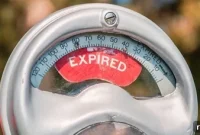 The Smart Bet: Expired Domains in Auctions