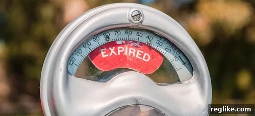 The Smart Bet: Expired Domains in Auctions 2 Picture of expired parking meter, symbolizing an expired domain.