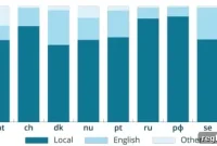 Beyond English: ccTLDs and Local Web Identity
